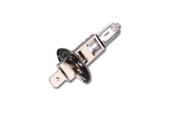 FOCO H1 12V 55W